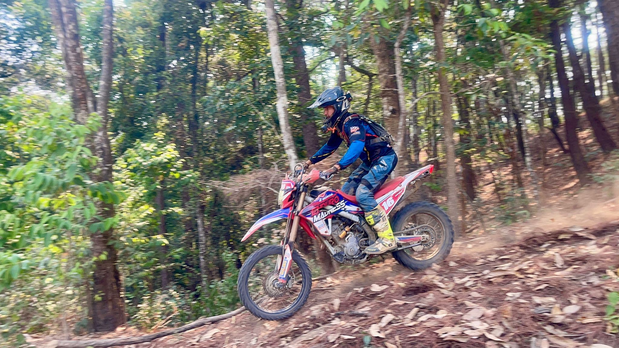 Jungle Singletrack
